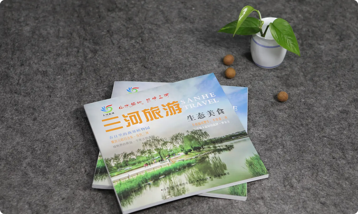 偶数左