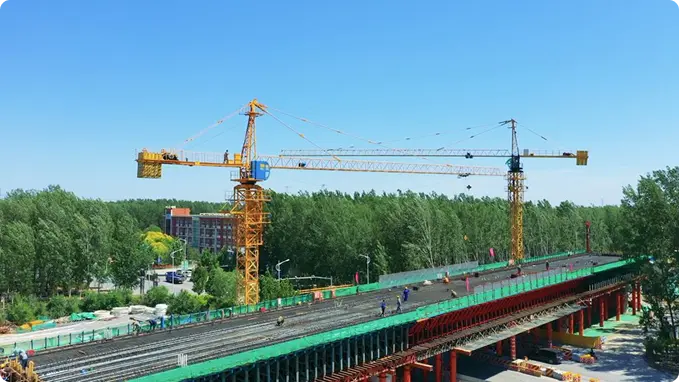图片6