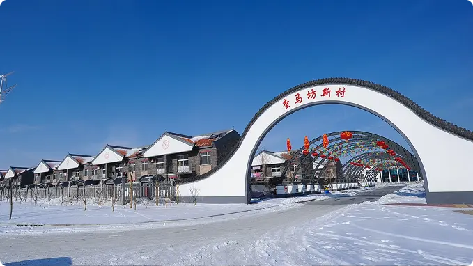 图片6